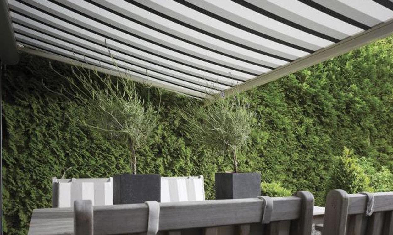 The Window Exchange: Awnings